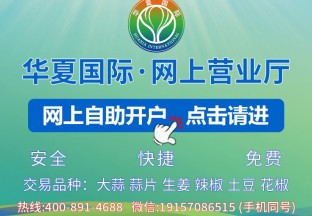 从数据透视蒜片市场：出口…