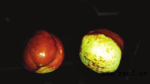 08-55-52-67-1