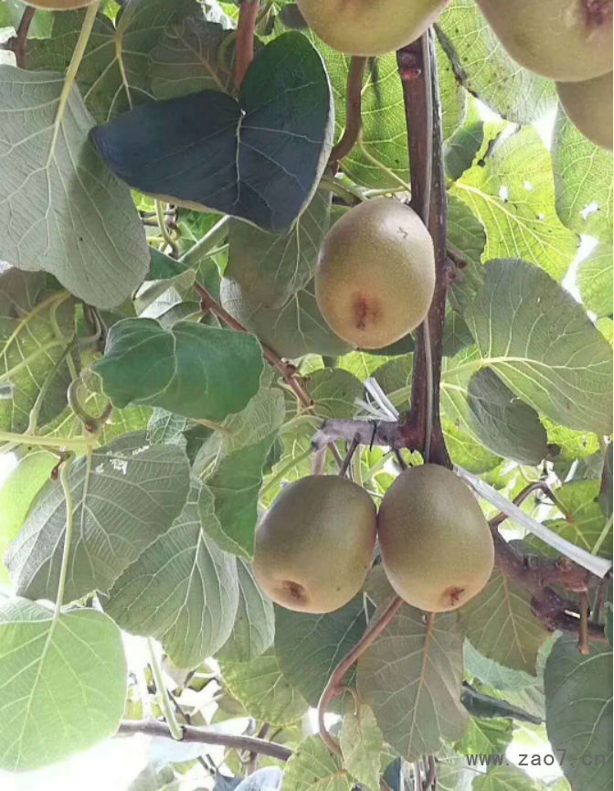图片2