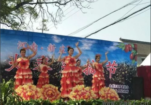 河南新庄首届大枣采摘节开幕 ()