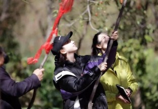 看景甜如何推广陕西五亿斤大枣 ()