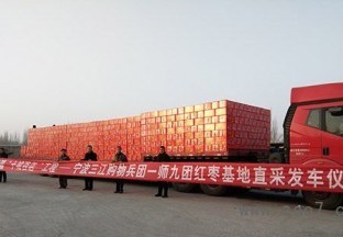 援疆干部牵线搭桥 阿拉尔红枣飘香宁波 ()