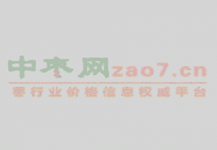2019枣网大拜年 ()