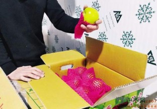 高雄蜜枣畅销大陆！ 销售火爆 ()