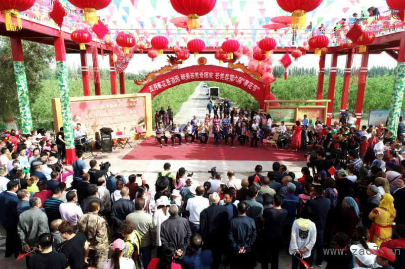 图片2