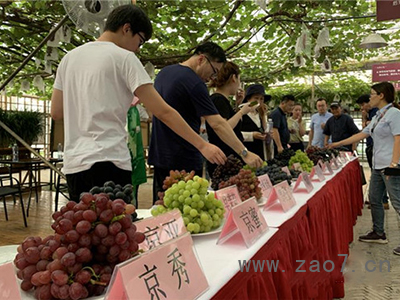图片4