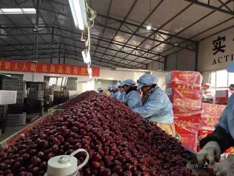 红枣加工车间
