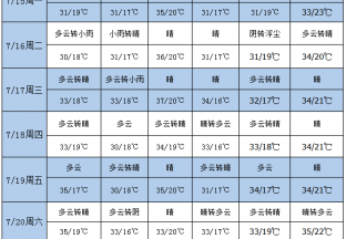 天气好转 新枣长势良好 ()