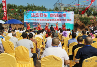 四川德阳：遇见双东 “枣”到幸福 ()