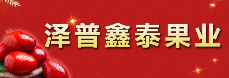 泽普鑫泰果业