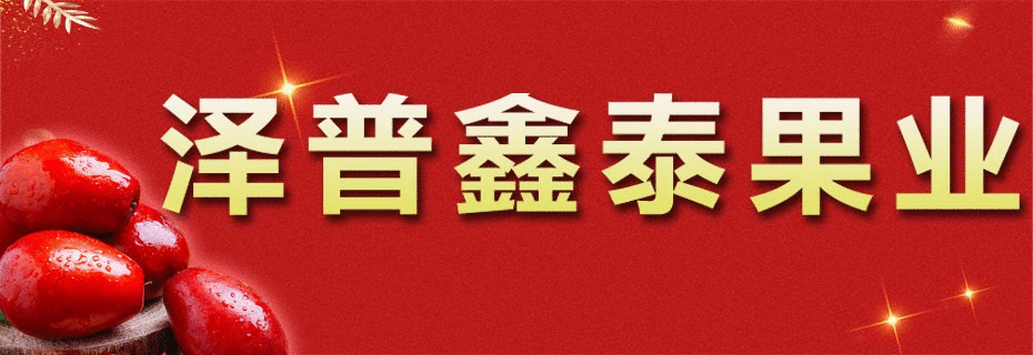 泽普鑫泰果业