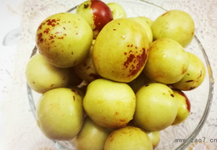 鲜枣营养丰富 秋季食用好处多 ()