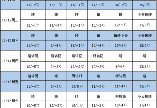 产区新枣大面积下树 晴好天气利于交易 ()