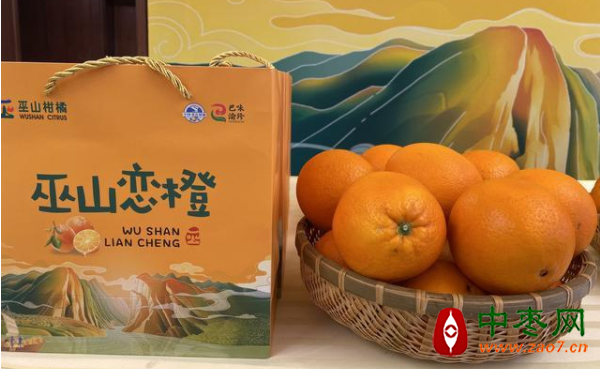 图片1