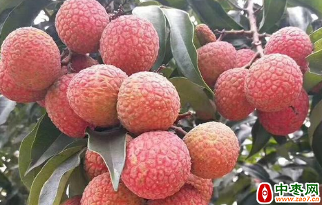 图片 1