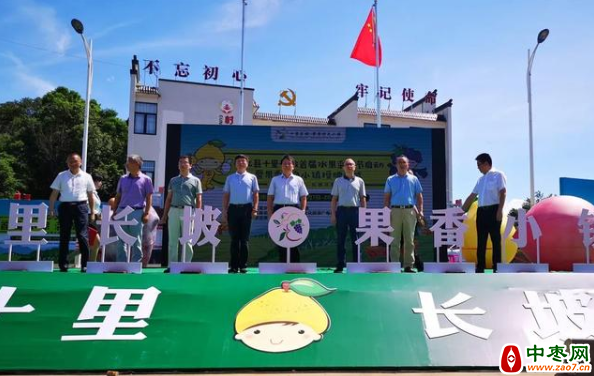 图片 11