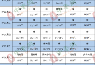 产区天气晴好 利于枣果生长 ()