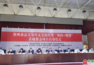 新疆首单红枣“保险+期货”项目落地麦盖提县 ()