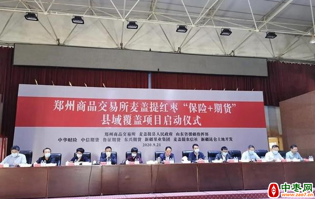 图片 11