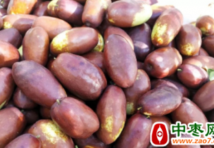 宁夏：灵武长枣首次出口泰国 ()