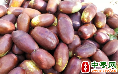 图片 11