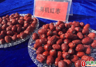 且末县：红枣主打有机品牌 ()