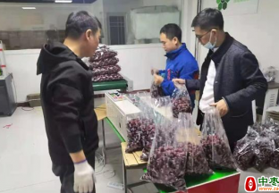 郴州市第九批援疆工作队助力销红枣 ()