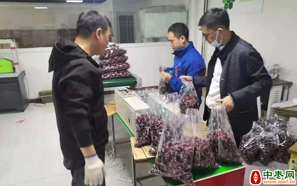 图片 11