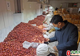 办红枣加工厂 带动更多人增收 ()
