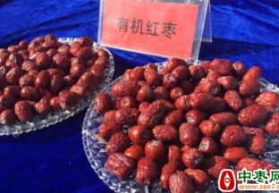 阿瓦提村：种有机枣 生活更甜 ()