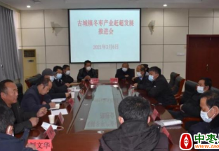 山东沾化：多举措助推冬枣产业快速发展 ()