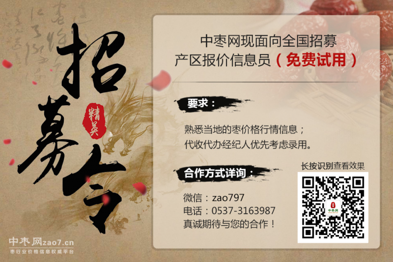 枣招募报价员