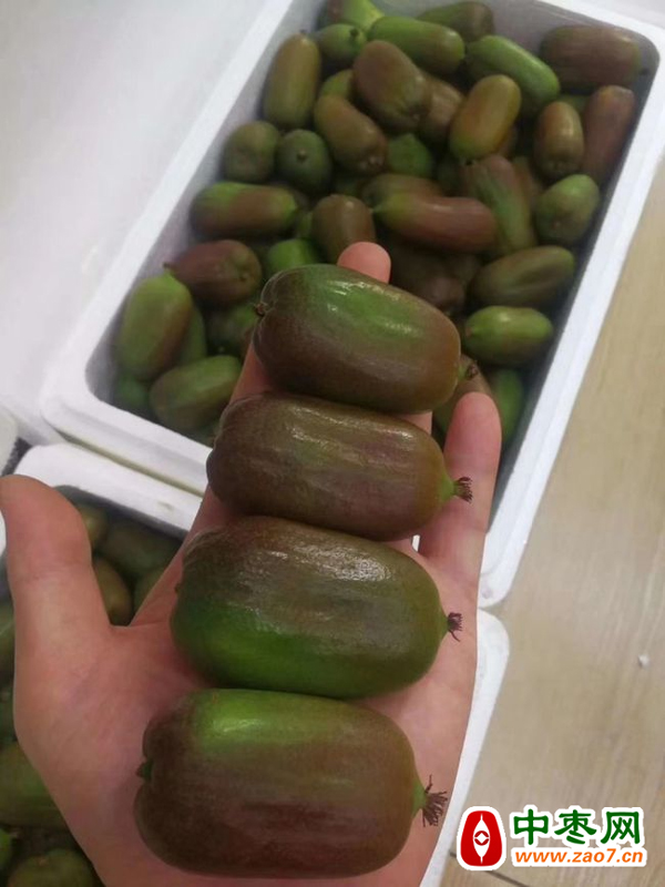 图片2