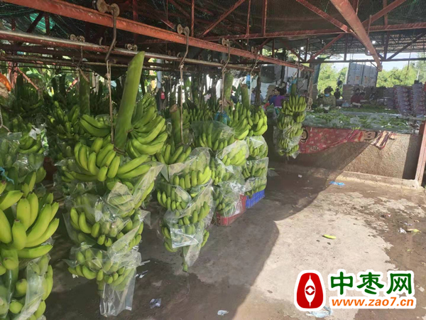 图片8