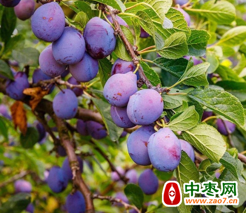 图片6