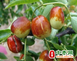 图片10