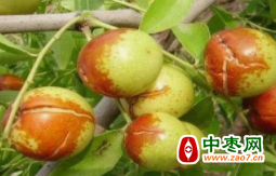 图片11