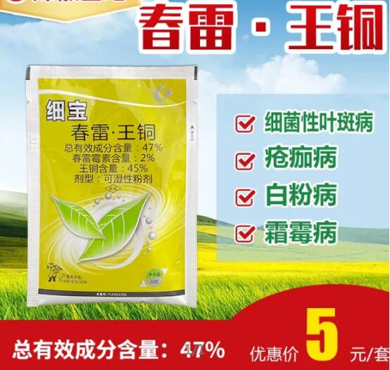 图片3