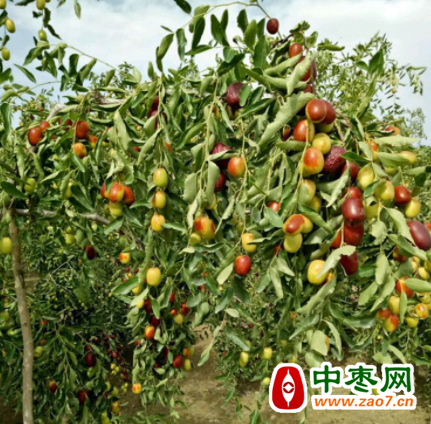 图片4