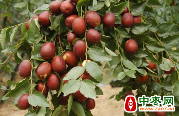 图片5