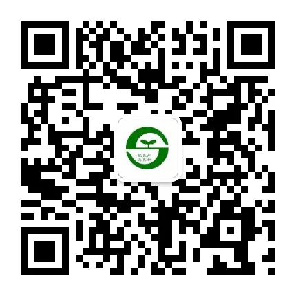 图片7