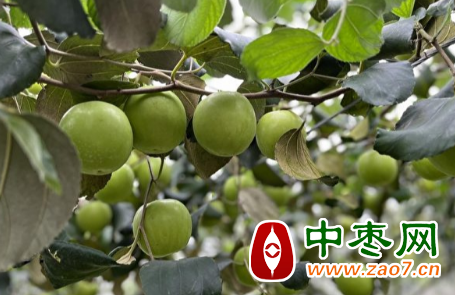 图片 1