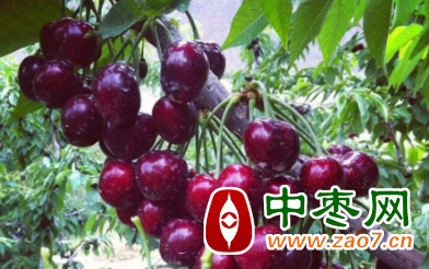 图片 1