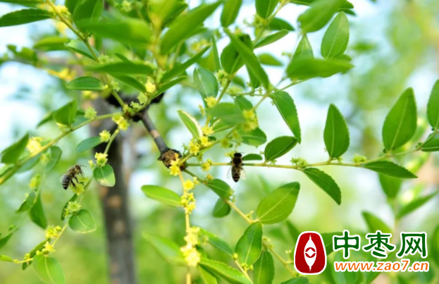 图片 2