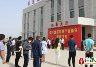 喀什地区红枣产业协会揭牌仪式在麦盖提县成功举行 ()