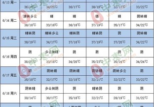 高温天气来袭 枣园管理需注意 ()