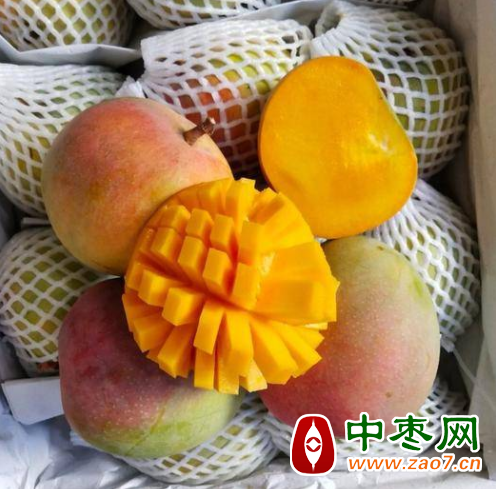 图片1