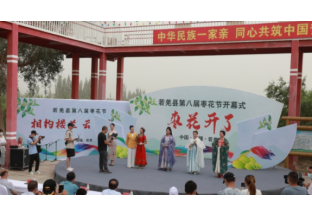 新疆若羌第八届云上枣花节开 ()