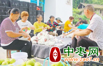 图片2