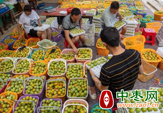图片1